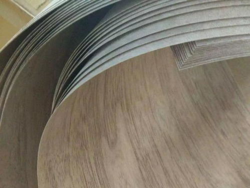 木皮之美，天然生成的線條美學——了解'百木取一紋'的小知識